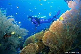 潜水图片大全