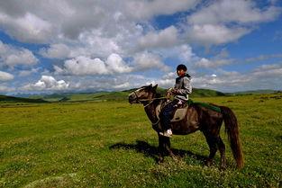 藏族男人骑马照片,藏族男子骑马英姿飒爽