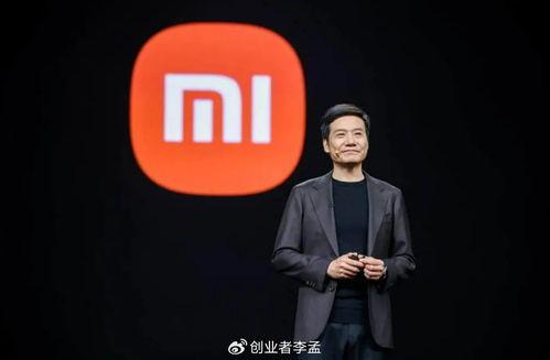 雷军有没有背景