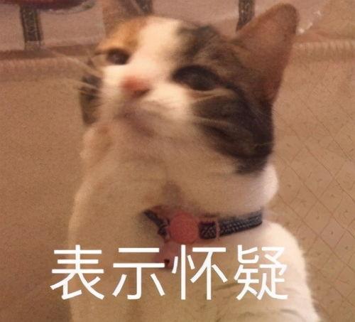 美潮表情包,潮流文化的新风向标