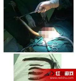 78黄鳝女主播视频,网络直播的道德边界与法律挑战